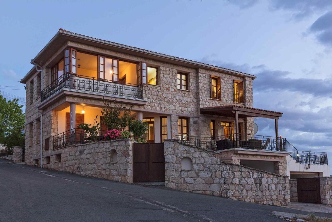Villa Irene Palace Paphos 外观 照片